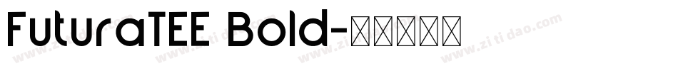 FuturaTEE Bold字体转换